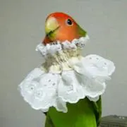 マド四不像の画像
