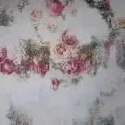 wnao(プロフ必読)の画像