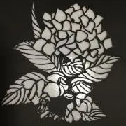 bme24.5の画像