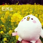 EIKA