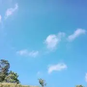 ぐっっちの画像