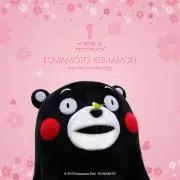 KU MAの画像