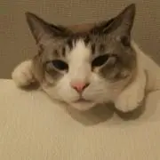 ココハル