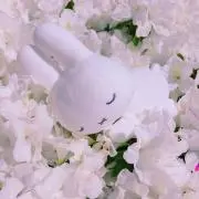 ぴ
