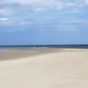 SKの画像