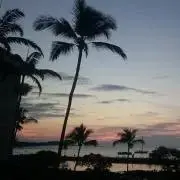 boobooの画像