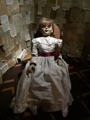 ともさんの画像