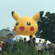 Tsubameの画像