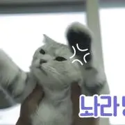 ソルちゃん