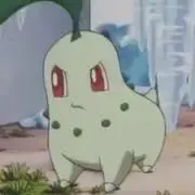 ほし⭐︎の画像