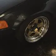 こんぐの画像