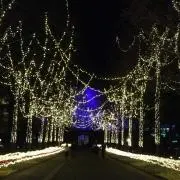 ちーず