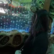 ❤︎ぴょん❤︎の画像