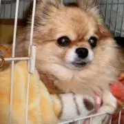 たび（プロフィール一読ください）の画像