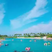 JULIEの画像
