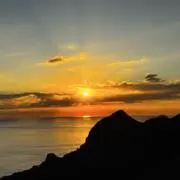 はち公の画像