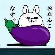 おちゃんこナスの画像