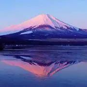 ゆみ