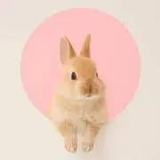 うづきの画像