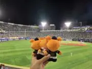もっちりーんの画像