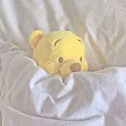 ✨の画像