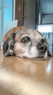 みゆきんの画像