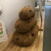 しゃっの画像