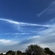ユウキの画像