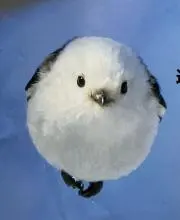 hirkohappyの画像