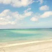 sizpの画像