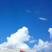shu-riの画像