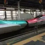 T Tの画像