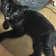 ハンター