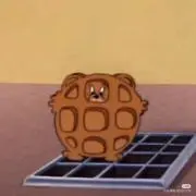 りすの画像