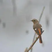 kyoutanの画像