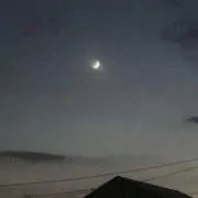 zigyの画像