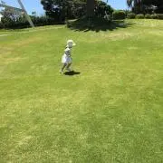 miriiの画像