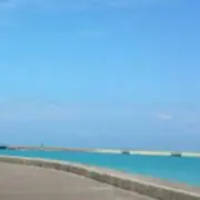 まい★まいっ