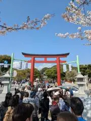 TAMの画像