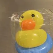 ぷー