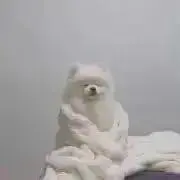 emuの画像