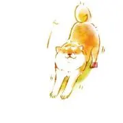 頭のおかしなチキンの画像