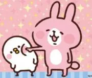 momoの画像