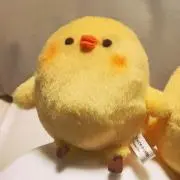 でんちゃんの画像