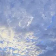 Rieの画像