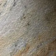 hiroryuの画像