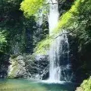 ☆05410☆ 同梱一点170円引☆の画像