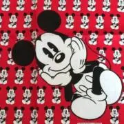 ミッキーの画像