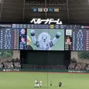 まつもとの画像