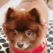yuka yukaの画像